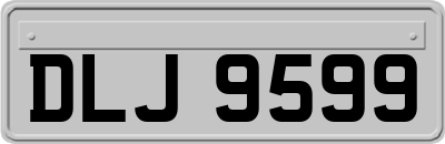 DLJ9599