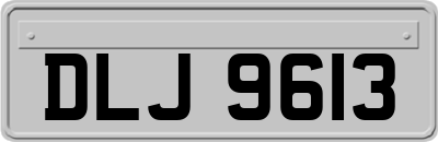 DLJ9613