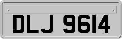 DLJ9614