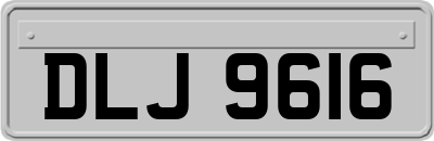 DLJ9616