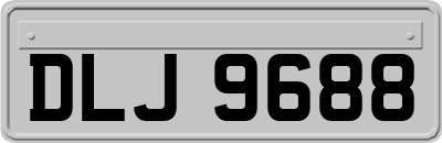 DLJ9688
