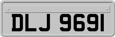 DLJ9691
