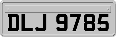 DLJ9785