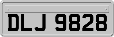 DLJ9828