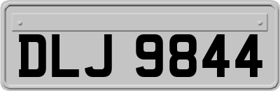DLJ9844