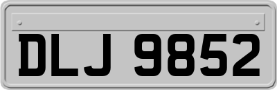DLJ9852
