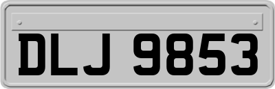 DLJ9853