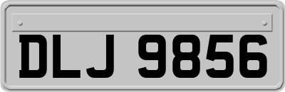 DLJ9856
