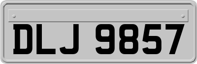 DLJ9857