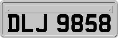 DLJ9858