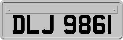 DLJ9861
