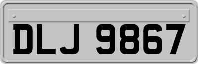 DLJ9867