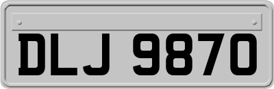 DLJ9870