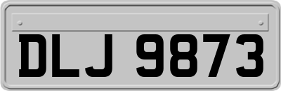 DLJ9873