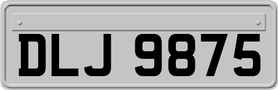 DLJ9875