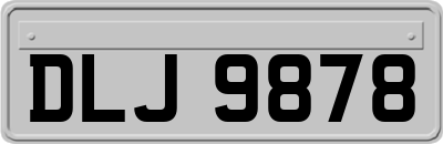 DLJ9878