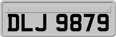 DLJ9879