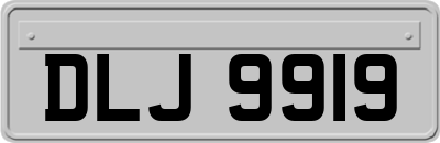 DLJ9919