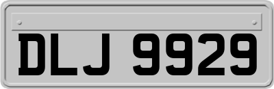 DLJ9929