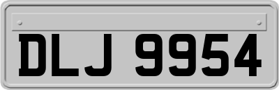 DLJ9954