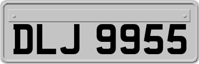 DLJ9955