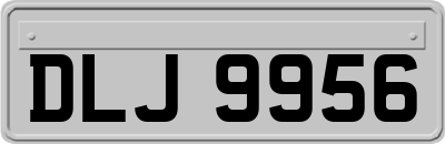 DLJ9956