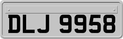 DLJ9958