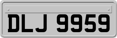 DLJ9959
