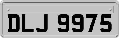 DLJ9975