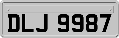 DLJ9987