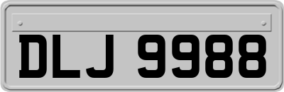 DLJ9988