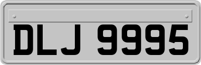 DLJ9995