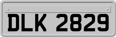 DLK2829