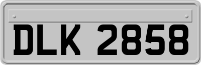 DLK2858