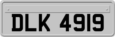 DLK4919