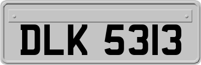DLK5313