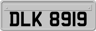 DLK8919
