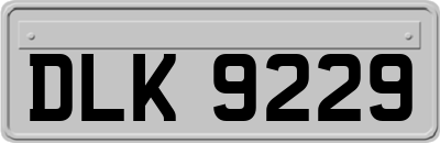 DLK9229