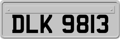 DLK9813