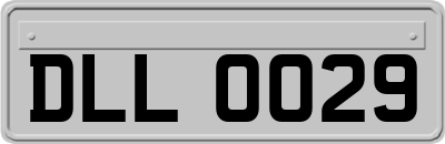 DLL0029