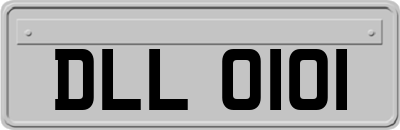 DLL0101