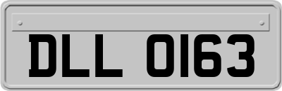 DLL0163