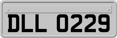 DLL0229
