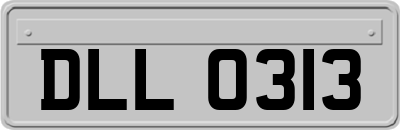 DLL0313