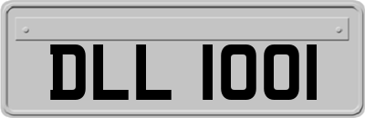 DLL1001
