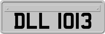 DLL1013
