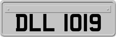 DLL1019