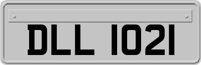 DLL1021