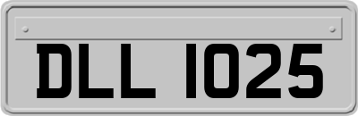DLL1025