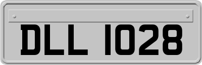DLL1028
